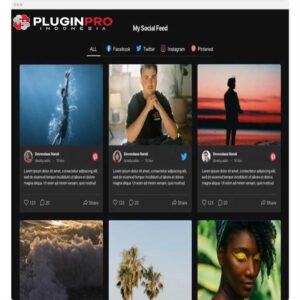 Social Media Feed Plugin