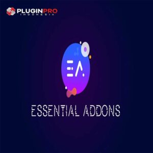 WooCommerce Essentials Add-On