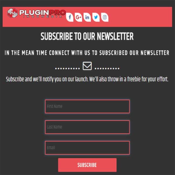 Newsletter Subscription Plugin